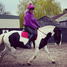 Load image into Gallery viewer, SU&KO Full Seat Riding Leggings - Black