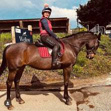 Load image into Gallery viewer, SU&KO Full Seat Riding Leggings - Black